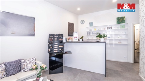 Prodej rodinného domu, 480 m² 6