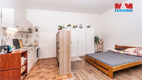 Prodej rodinného domu, 480 m² 10