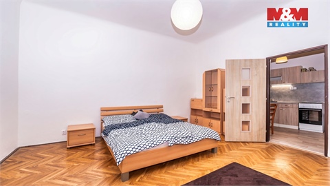 Prodej rodinného domu, 480 m² - 14