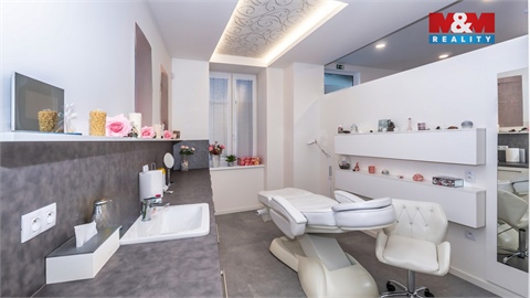 Prodej rodinného domu, 480 m² 8