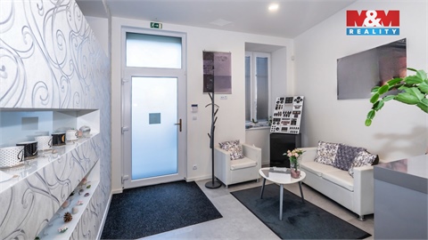 Prodej rodinného domu, 480 m² - 6