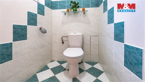 Prodej rodinného domu, 480 m² - 20