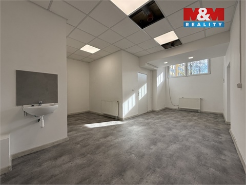 Pronájem obchodních prostor, 42 m² 2