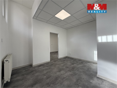 Pronájem obchodních prostor, 42 m² - 4