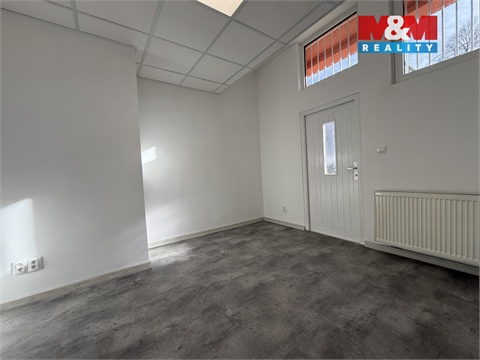 Pronájem obchodních prostor, 42 m² - 6