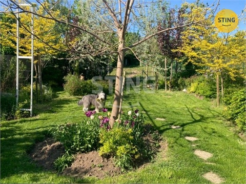 Pronájem rodinného domu, 204 m² 26