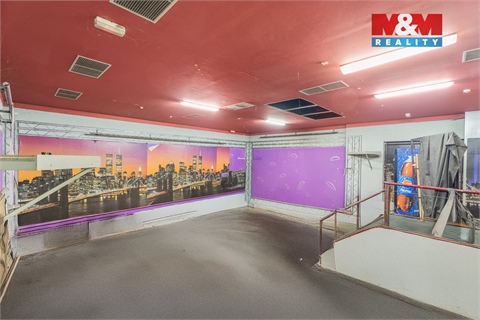 Prodej obchodních prostor, 700 m² - 2