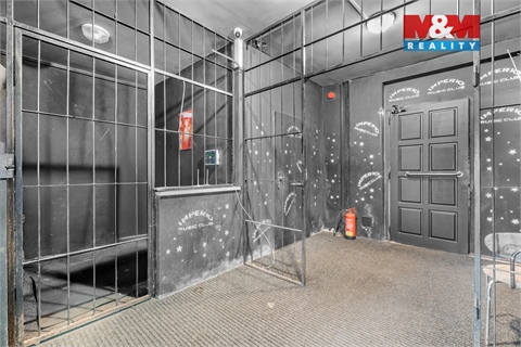 Prodej obchodních prostor, 700 m² 20