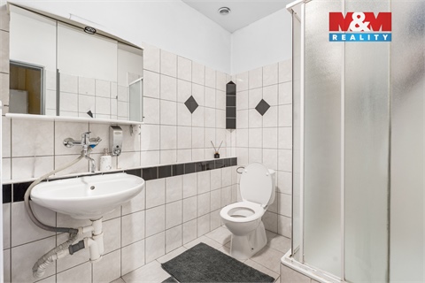 Prodej obchodních prostor, 700 m² - 12