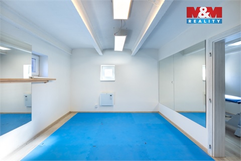 Pronájem obchodních prostor, 50 m² - 8