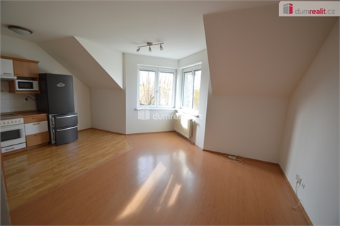Pronájem bytu 1kk, 43 m² 4