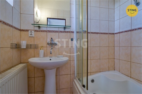 Pronájem bytu 1+1, 38 m² 2