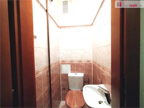 Pronájem bytu 2+1, 65 m² - 12