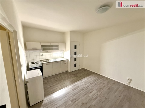 Pronájem bytu 1+1, 36 m² 8