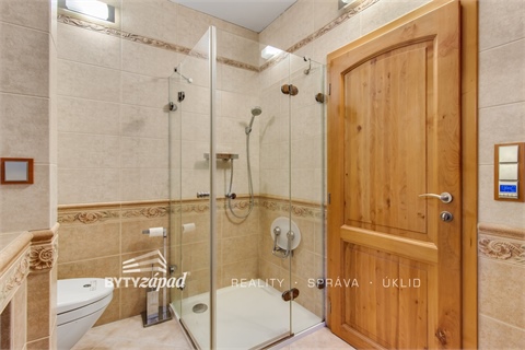 Prodej rodinného domu, 353 m² - 20