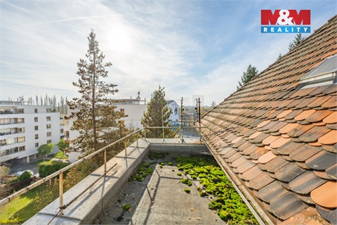 Prodej komerčního objektu, 240 m² 22