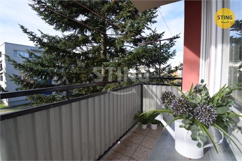 Pronájem bytu 3+1, 80 m² 8