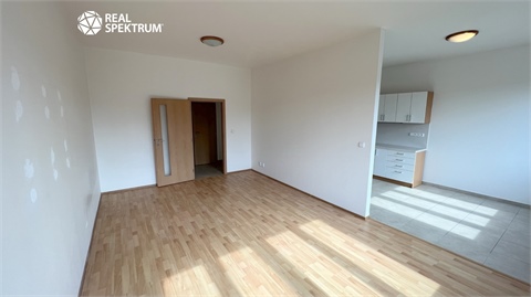 Pronájem bytu 1+1, 46 m² - 2