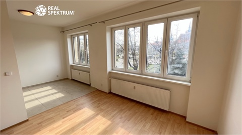 Pronájem bytu 1+1, 46 m² 4