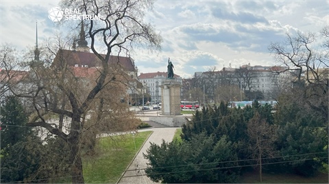 Pronájem bytu 1+1, 46 m² - 12