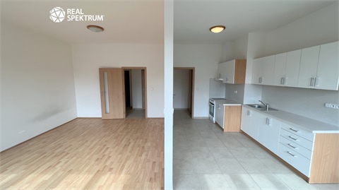 Pronájem bytu 1+1, 46 m² 0