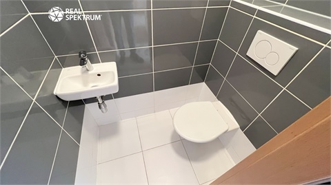 Pronájem bytu 1+1, 46 m² 6