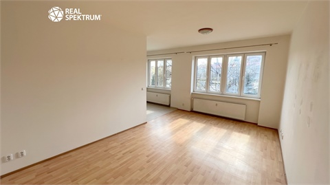 Pronájem bytu 1+1, 46 m² - 4