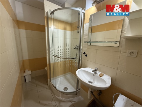 Pronájem bytu 3+1, 53 m² 14