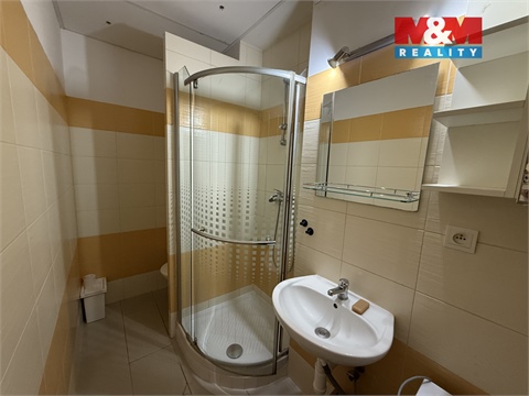 Pronájem bytu 3+1, 53 m² - 14