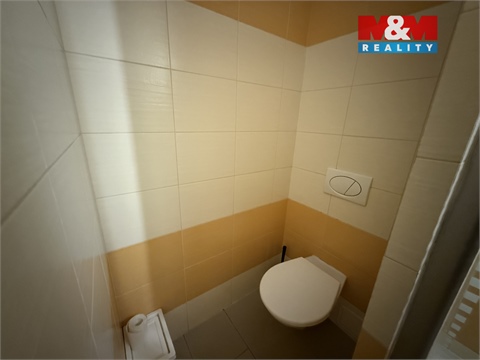 Pronájem bytu 3+1, 53 m² - 12