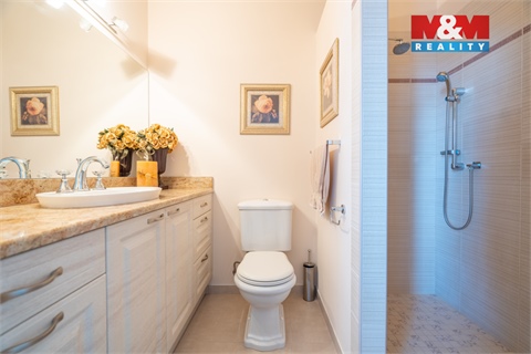 Prodej rodinného domu, 429 m² - 28