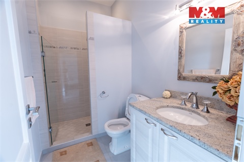 Prodej rodinného domu, 429 m² - 18