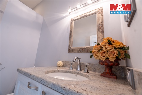 Prodej rodinného domu, 429 m² 20