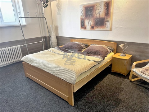 Pronájem bytu 2+1, 46 m² - 14