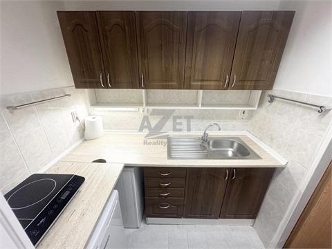 Pronájem bytu 2+1, 46 m² 14