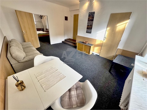 Pronájem bytu 2+1, 46 m² - 0