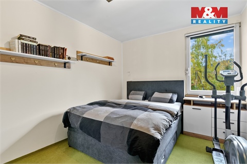 Prodej bytu 3+1, 68 m² 4