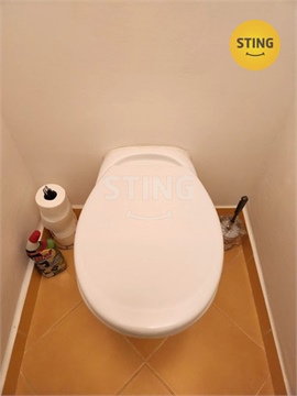 Pronájem bytu 2+1, 52 m² 10