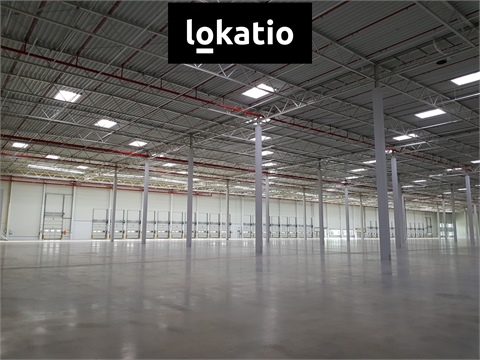 Pronájem skladu / haly, 5 667 m² 2