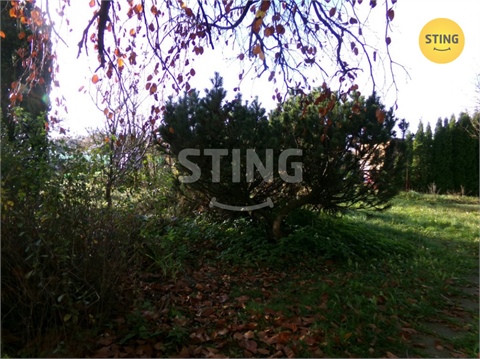 Prodej zahrady, 354 m² 4