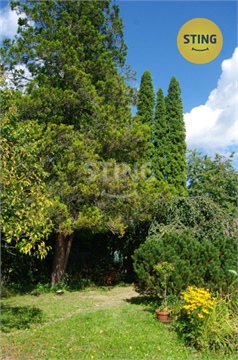 Prodej zahrady, 354 m² - 12