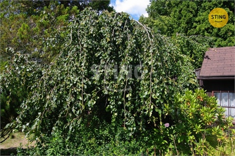 Prodej zahrady, 354 m² 14