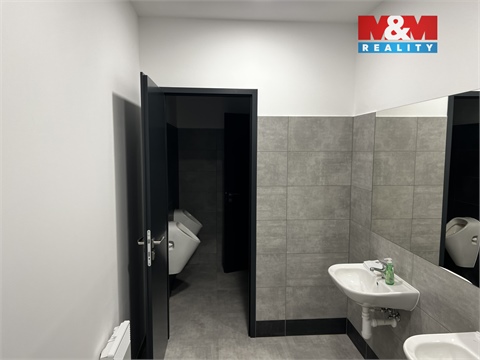 Pronájem obchodních prostor, 829 m² - 8