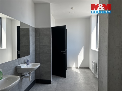 Pronájem obchodních prostor, 829 m² - 12