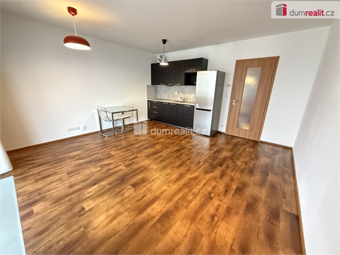 Pronájem bytu 1kk, 42 m² 0