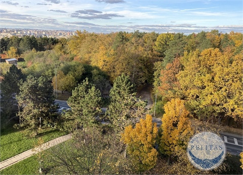 Prodej bytu 3+1, 74 m² 18