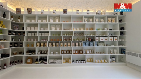 Pronájem obchodních prostor, 47 m² 14