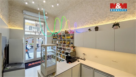 Pronájem obchodních prostor, 47 m² 8