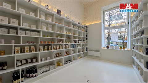 Pronájem obchodních prostor, 47 m² 12