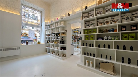 Pronájem obchodních prostor, 47 m² - 12